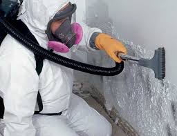 Forensic Mold Investigation in Ada, OK